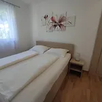 Iris *